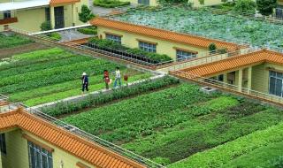 Roof garden at a local brewery company in Liuzhou, South China's Guangxi Zhuang